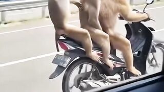 MONKEYS CAN DRIVE??