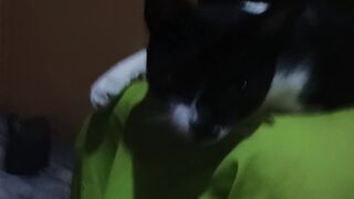 Meu bb 2