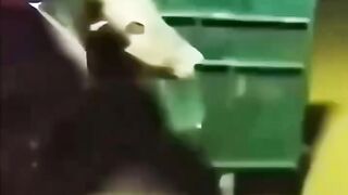 BRO WHAT?! | え、何これ？ | 이게 뭐야 | 太离谱了