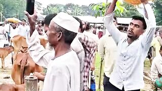 new funny video #funny #funnyvideos #reels #.mp4