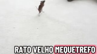 Vamos rir juntos.  Vem conferir 🤗🤗🤗🤗