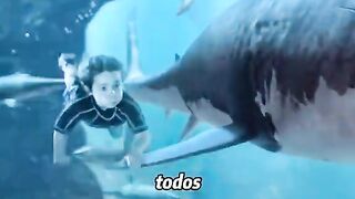 دخل الماء ليواجه القرش… لكن النهاية كانت صادمة! 😱🦈
