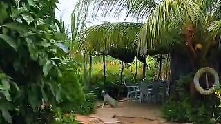 Açude do neto