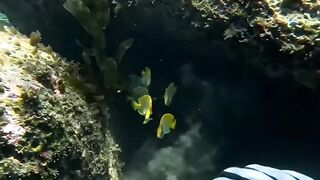 Two Eyes Appeared Under the Rock… You Won’t Expect What Happened Next 👀🌊