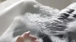 #Funny #video! #viralvideo #funny #hindi viral #United #States #America new | 111