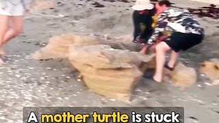 #Funny #video! #viralvideo #funny #hindi viral #United #States #America new | 112