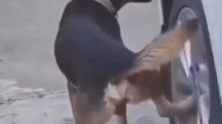 Essa foi boa kkk 2