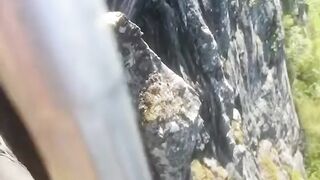 story (338).mp4