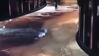 story (353).mp4