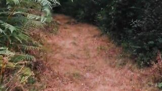 Nature trail