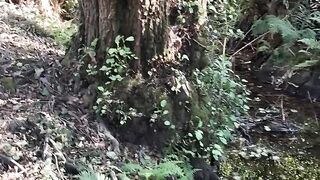 Setembro, ardem os montes secam as fontes..