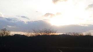 Lindo 4