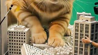 7 Monsters Caught Behind the Scenes. 0 Are Real. 🐈🦈🐉#shorts #ai #funny