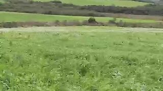 Na pressão do agro brasileiro