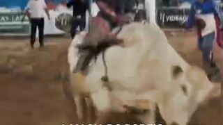 Rodeio de Apuí Amazonas