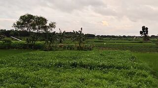 Beautiful nature view 2