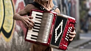 dog playing the accordion