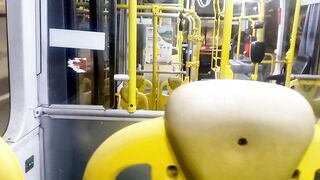 Subida ao Pico do Lopo - MG |  On the Bus... #005
