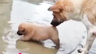 She Carried Him Out The Water Just For This