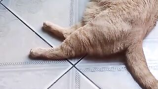 Meu bebê