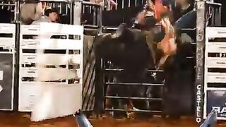 Touro Briga de galo, cia tercio miranda!  Bull Briga de Galo, Tercio Miranda Rodeo Company