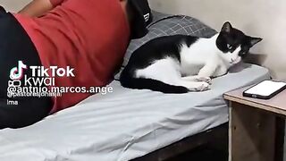 Movimento único