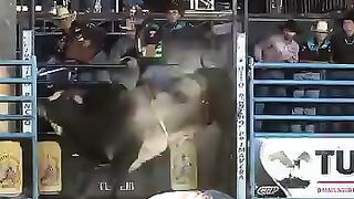 Touro Reza lenda. Cia. Jk Bucking Bulls!! Bull Prays legend. Co. Jk Bucking Bulls