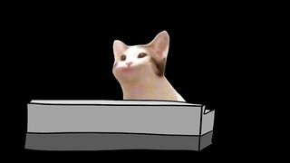 Cat Pop Bohemian Rhapsody