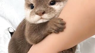 ,,❤️❤️❤️❤️❤️