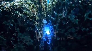 We Found a Strange Glow Beneath the Ocean… Then It Moved 👀🌊