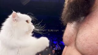 Cuando no le di de comer al gato durante 5 minutos