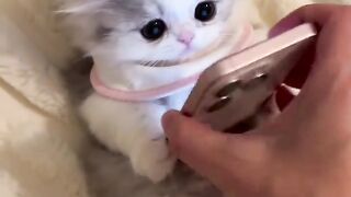 ,😃🥰