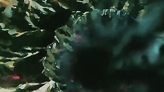 Ikki ressurgiu insano cavaleiro de feliz