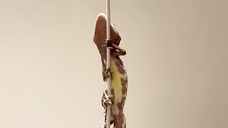 Two Chameleons Climbing a Vertical Cable Close Up 4K Vertical