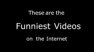 The Funniest Videos on the Internet