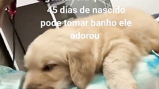 Meu primeiro banho