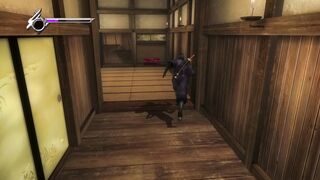 Ninja Gaiden continuando a história do Ninja