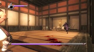 Ninja Gaiden primeiro desafio difícil