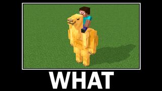 WAIT WHAT - Minecraft #1