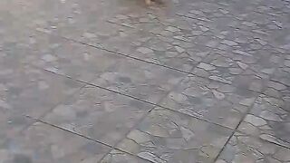 CHICO APRONTANDO