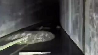 THIS TUNNEL HAS BEEN SEALED FOR YEARS — HERE'S WHY  이 터널은 수년간 봉쇄되어 있었습니다 — 그 이유는 이렇습니다