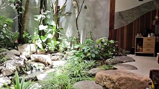 What did you think of this house? You'll be surprised by the garden inside the living room.