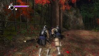 Ninja Gaiden depois de conselho do mestre voltar a vila
