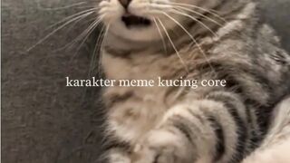 plenger banget