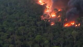 Forest fires are sweeping across Indonesia.