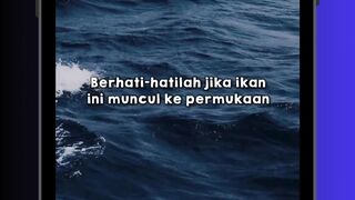 Hati-Hati Kalau Ikan Ini Muncul! 😱🐟
