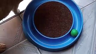 Primeiro