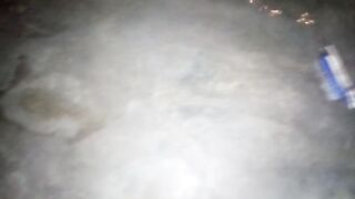 🤖 I Made a MINI ROBOT With a Toothbrush & Tiny Motor! 😱🔥