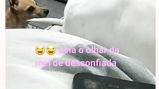Minhas filhas de 4 patas🐾