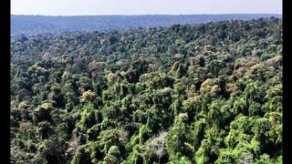 WILD AMAZON | A Forest That Never Sleeps_ PART 1/7